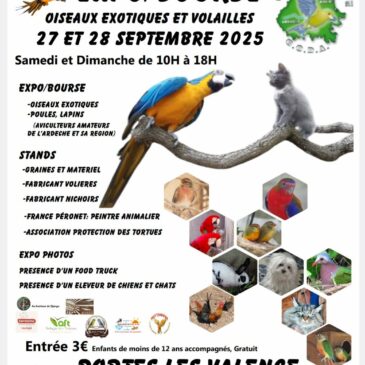 Sensibilisation à la bourse aux Oiseaux de Portes-Lès-Valence